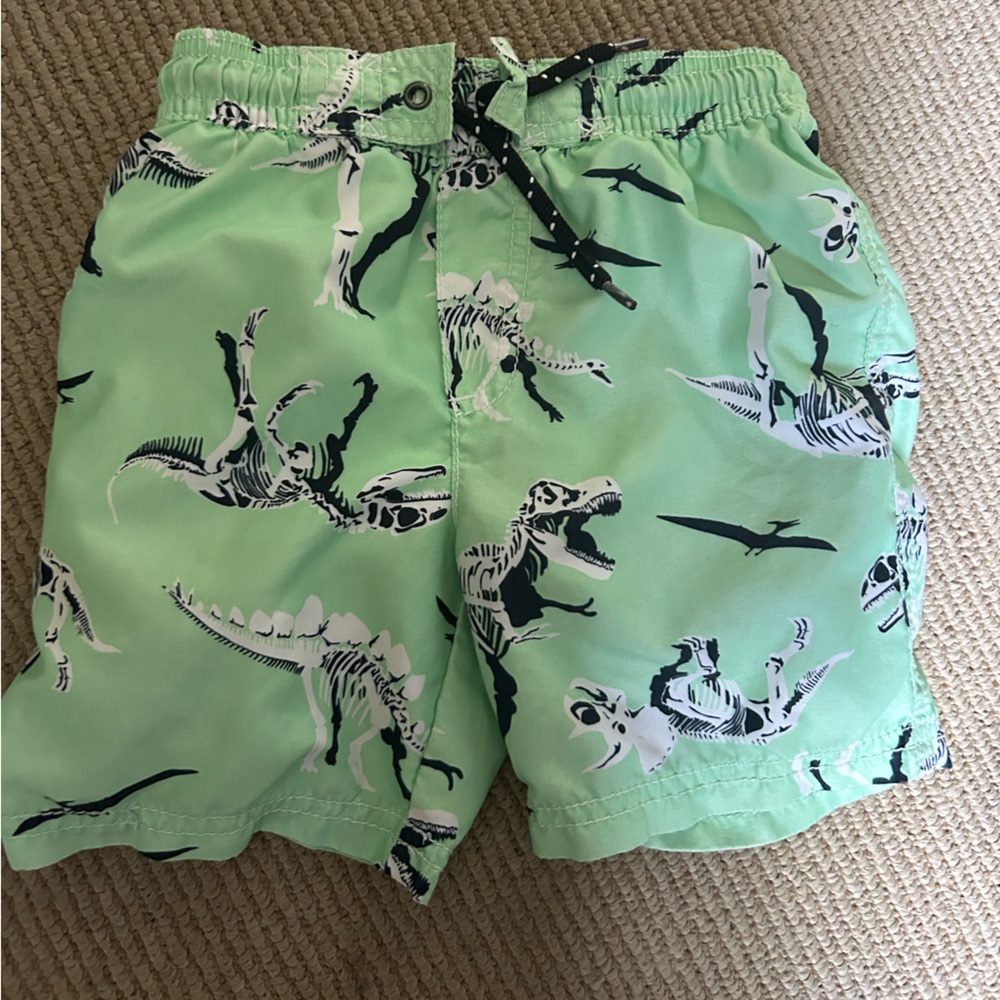 Green Dinosaur Print Shorts